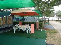 DSC03345 550